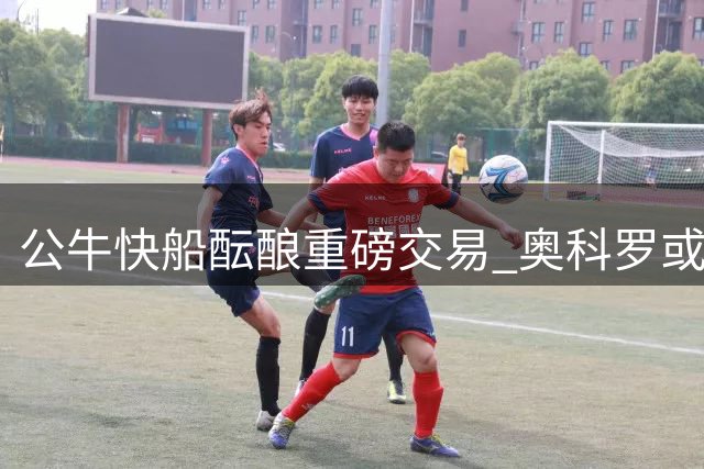 公牛快船酝酿重磅交易 奥科罗或成马瑟林转会筹码